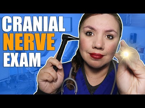 Asmr Hospital You Re In A Coma Cranial Nerve Ophthalmic Exam