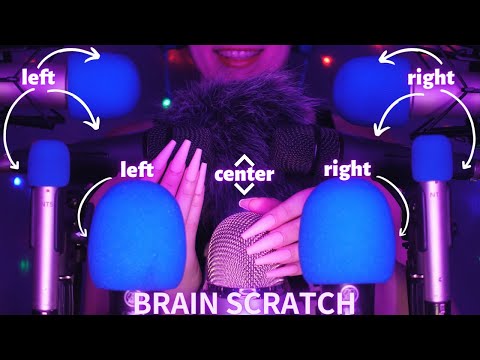 Asmr Mic Scratching Brain Scratching With Mics Asmr No Talking