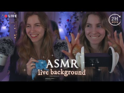 Yarify Directos All Videos The Asmr Index