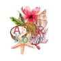 Asmr koco🥥