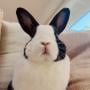 funbun ASMR