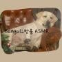 Bangul_방울 ASMR