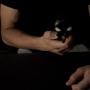 Sounds and Stuff