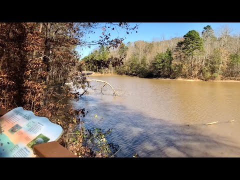 ASMR | Come Hiking With Me 🌳 | Nature Sounds, Tracing, Tapping, Water Sounds