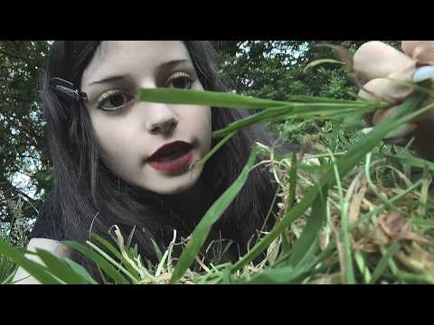 ASMR touching grass violently