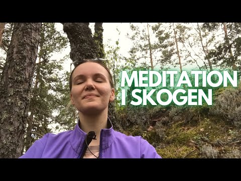 Låt oss ta en PAUS i skogen tillsammans! (Guidad ASMR Meditation/Mindfulness)💚🌲