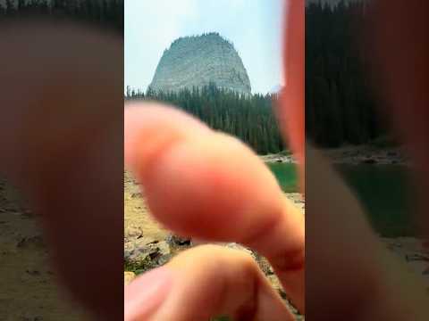 ASMR Fast Camera Tapping/Touching Outdoors (Close-up, Outdoors)