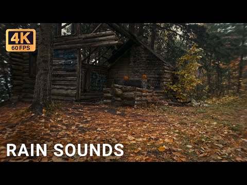 ASMR Cabin Rain Sounds 🎃