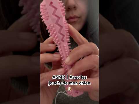 #asmr avec les jouets de mon chien 🐶