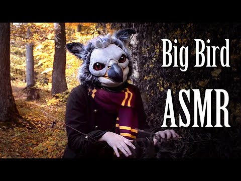 Big Bird ASMR - Barefoot Adventure in the Golden Woods 🕊️