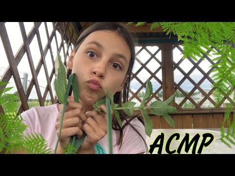 🌱🌿🍃АСМР ЗВУКИ ЛИСТЬЕВ🌱🌿☘️