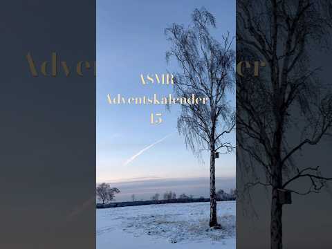 ASMR Adventskalender 15 🎄💕 #asmr #landscape #winter MajeASMR