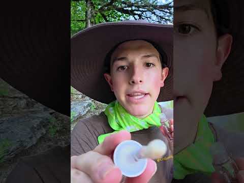 ASMR Sassy Boy Scout Does Your Makeup ☘️