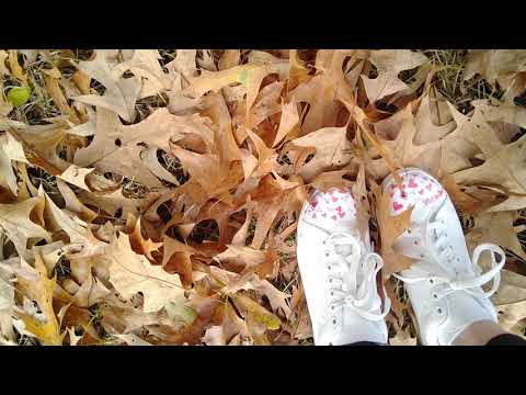 ASMR {Crunching Leaves} - Walking - No Talking - Lo-Fi - Fall/Autumn Sounds