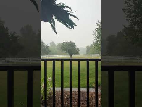 Rain sounds on the 4th of July #asmr #rain #rainsounds