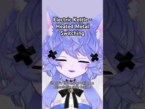 I learned that electric kettles turn on and off with the help of shape changing metal!