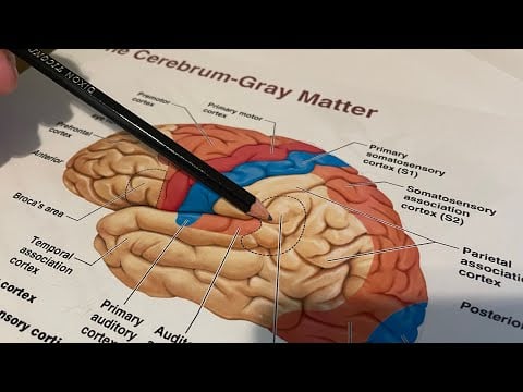 ASMR Drawing
