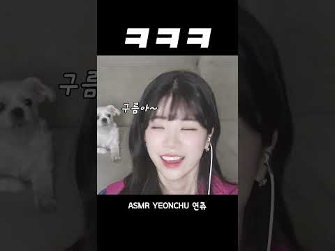 강아지 키워야하는 이유..❤️