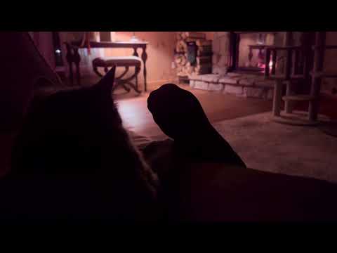 ASMR resting my feet by the fire in nylons with my cat sounds relaxing
