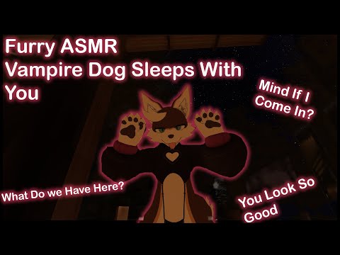 [Furry ASMR] Vampire Dog Sleeps With You