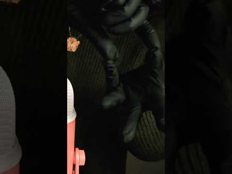 Latex Gloves ASMR 🖤 Tingly Sounds and Hand Movements