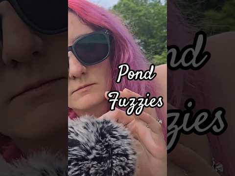 Fuzzplay at a Pond  #asmr #relax #nature