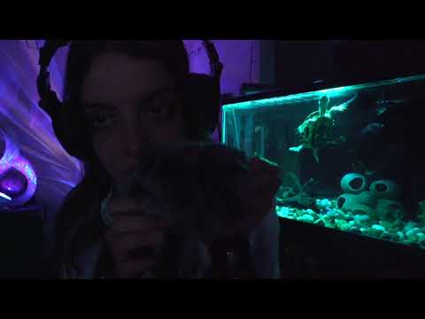 ASMR| Fluffy Mic Returns| Soothing whispers