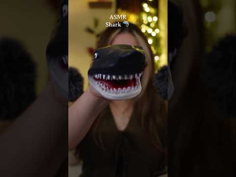 ASMR | shark 🦈 #asmr #funny #ytshorts