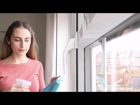 ASMR -Household Cleaning/ Dusting the Windows & Spare Room