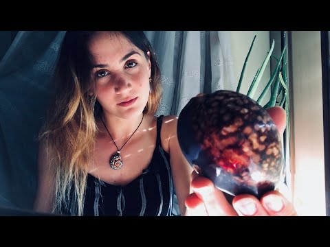 ASMR Conchiglie  🐚 | suoni per dormire ~ italiano ~ page flipping ~ soft spoken ~ unintelligible |