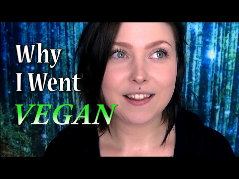 Why I Went VEGAN ✌🌍🐾