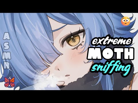 【ASMR】Intense Moth Sniffa! 💢