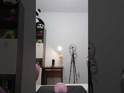 ASMR | Mudança de setup