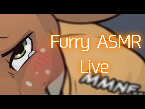 [Furry ASMR] But It's Live And There's A Cute Deer Giving Kisses (Kissing, Intense Ear Licking)