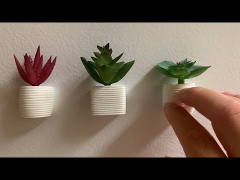 ASMR Tapping Around My New Apartment