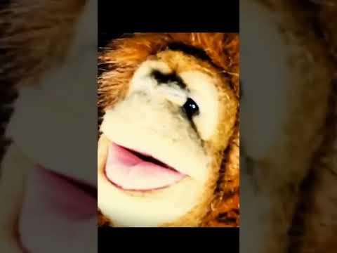 FARTING MONKEY #ASMR 💨