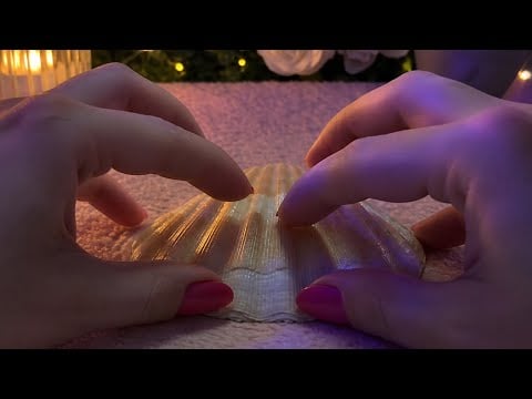 ASMR Concha: Tapping e Scratching Relaxante