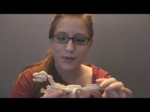 ASMR: Paleontologist Role Play