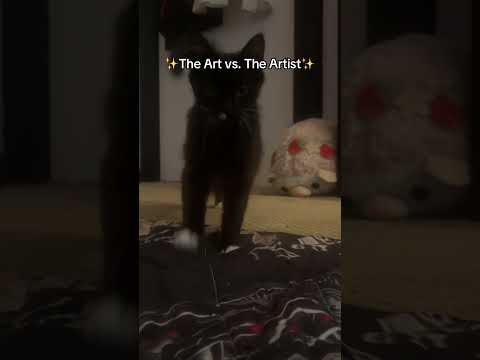 Mochi made biscuits a little too aggressively on my leg 😭😭😭 #cutekittens #kitten #catsofyoutube