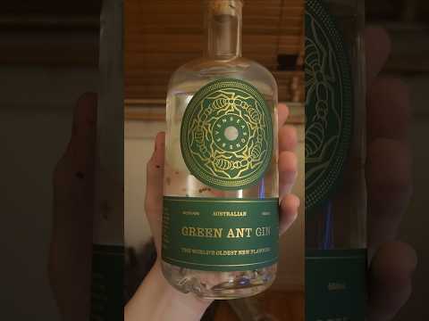 gin full of ants 🐜 #asmr #ants #gin #alcohol #asmrsounds #asmrvideo #bug #insects #munasmr #fyp
