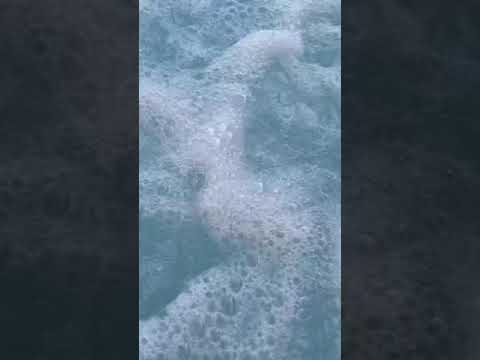 A Bubbly Hot Tub ASMR #shorts So Soothing 😴