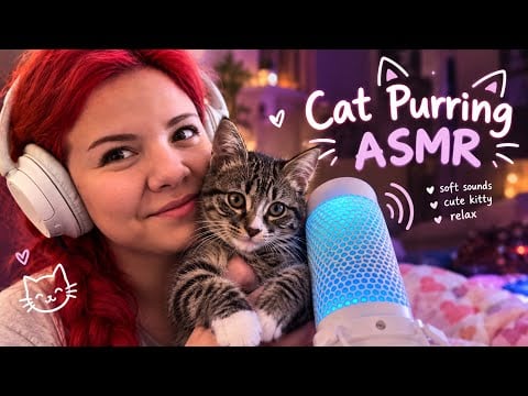 Kitty ASMR Relax Mrrrrr🐈‍⬛💕