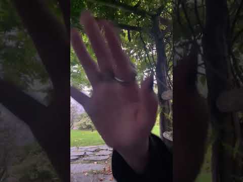 💤Fast & Slow ASMR: Listen to the rain, listen to my rings ☔️💍🌧️💤