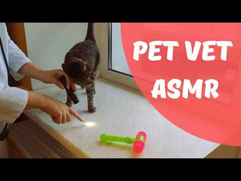 ASMR Russian Vet Examination (soft voice RUS-ENG role play)