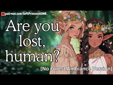 [No Forest Ambiance Version] Elf Sisters Find You In The Forest