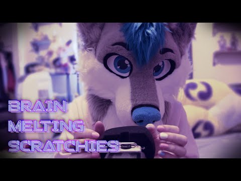 [Furry ASMR] Brain Melting Scratchies :3c