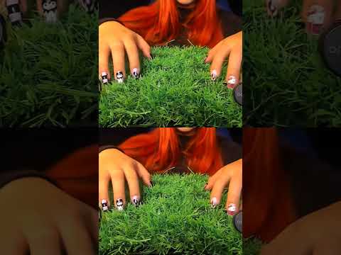 This Sound Is So Satisfying… 😍 | ASMRScratching (No Talking) #tingles #shorts #asmr