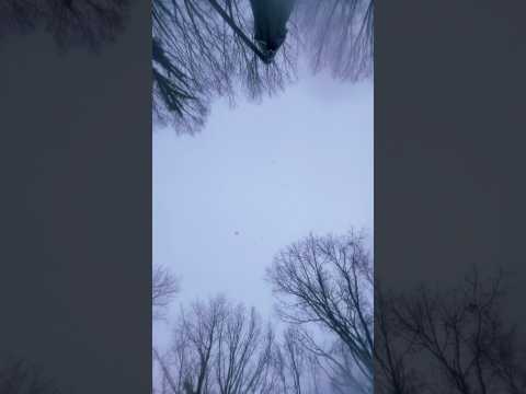 Snow falling on your face #asmr #asmrshorts #visualasmr #raeasmr #snowasmr #snow #visualtriggers