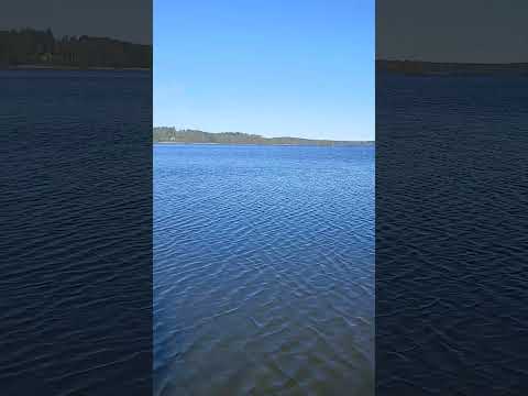 ASMR Beautiful Lake #relax #asmr #visualtingle