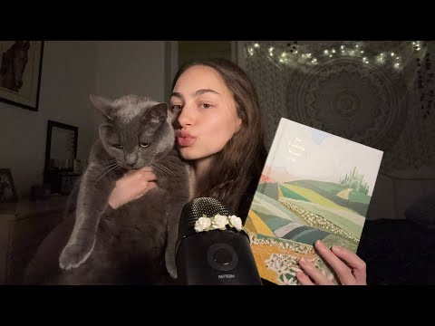 asmr reading you to sleep | wizard of oz ch 1 🧙‍♀️